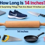 14 Inches