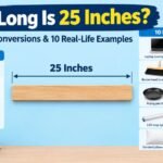 25 Inches
