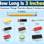 3 Inches
