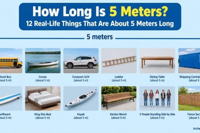 How Long Is 5 Meters? 12 Real Life Things That Are About 5 Meters Long